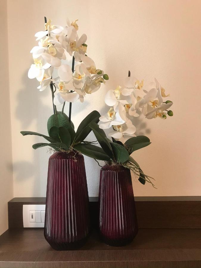 Verona Porta Borsari Relais Екстер'єр фото